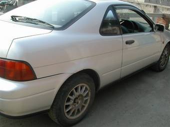 1991 Cynos