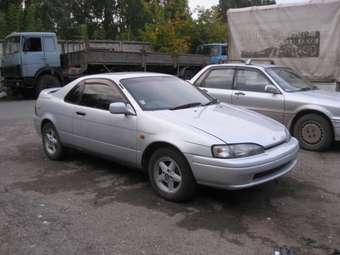 1991 Cynos