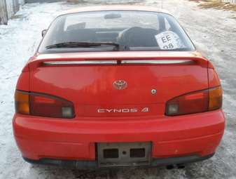 1991 Cynos