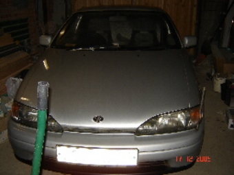 1992 Cynos
