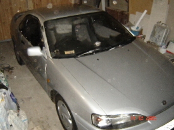 Toyota Cynos
