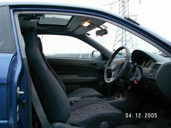 1998 Cynos