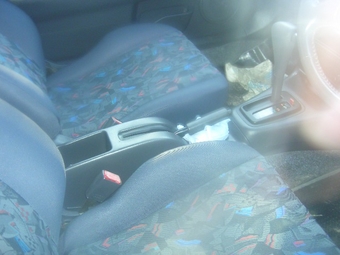 1998 Cynos