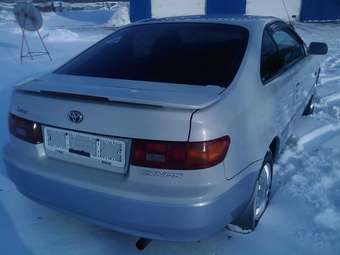 1998 Cynos
