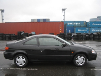 1999 Cynos