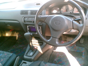1999 Cynos
