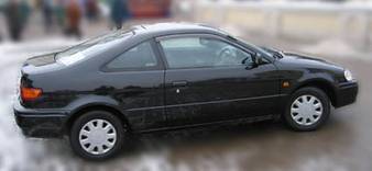 1999 Cynos