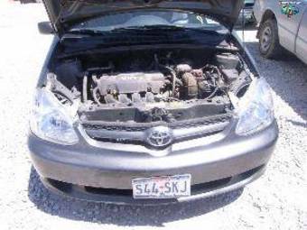 2002 Toyota Echo Pictures
