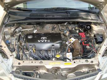 2003 Toyota Echo Pictures