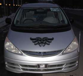 2001 Toyota Estima Pictures