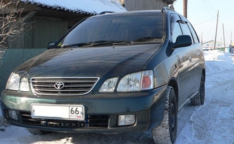 1998 Gaia