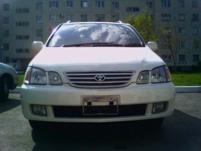 1999 Toyota Gaia