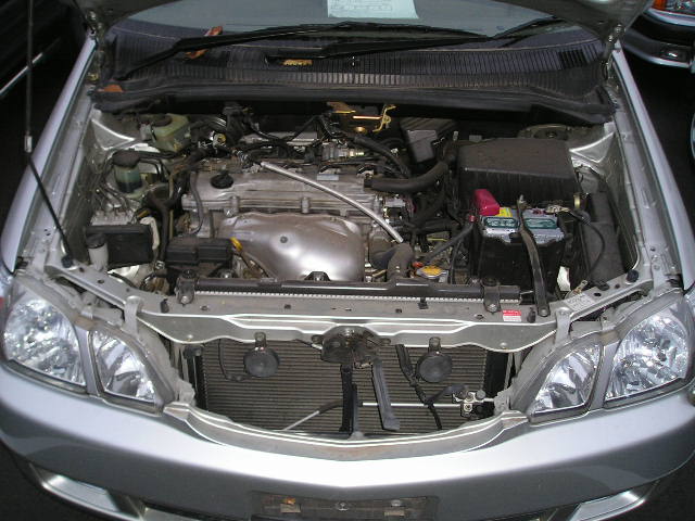 2001 Toyota Gaia Pictures
