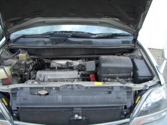 1998 Harrier