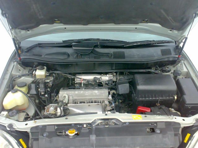 1998 Toyota Harrier