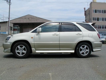 Harrier