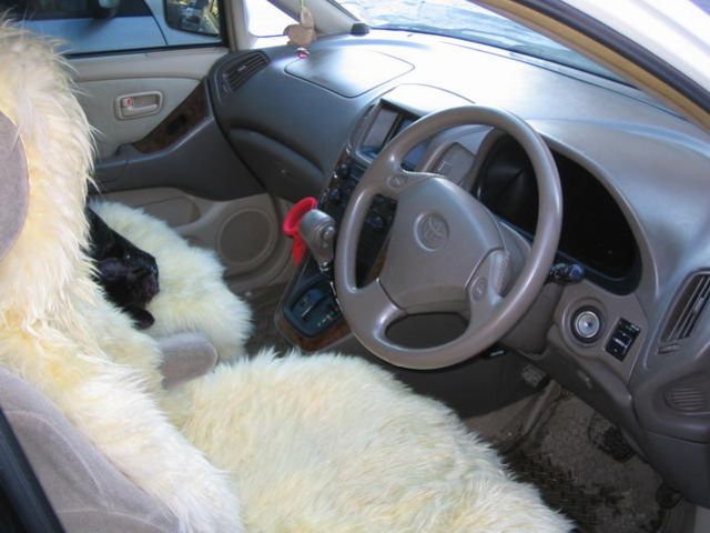 2000 Toyota Harrier