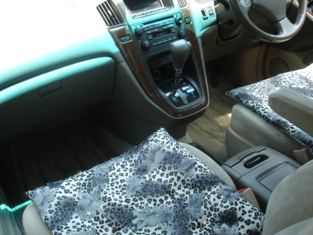 2000 Toyota Harrier Photos