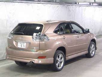 Harrier