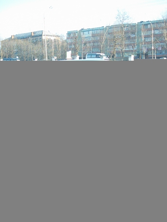 Hiace Regius