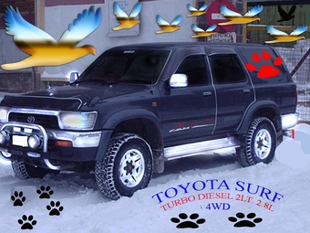 1992 Toyota Hilux Surf