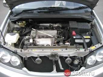 Toyota Ipsum