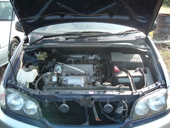 Toyota Ipsum
