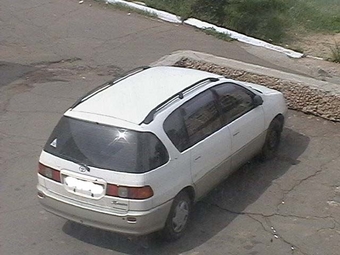Toyota Ipsum