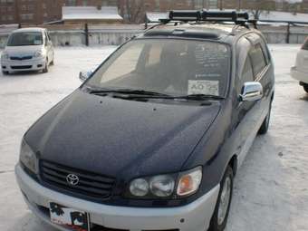 Toyota Ipsum
