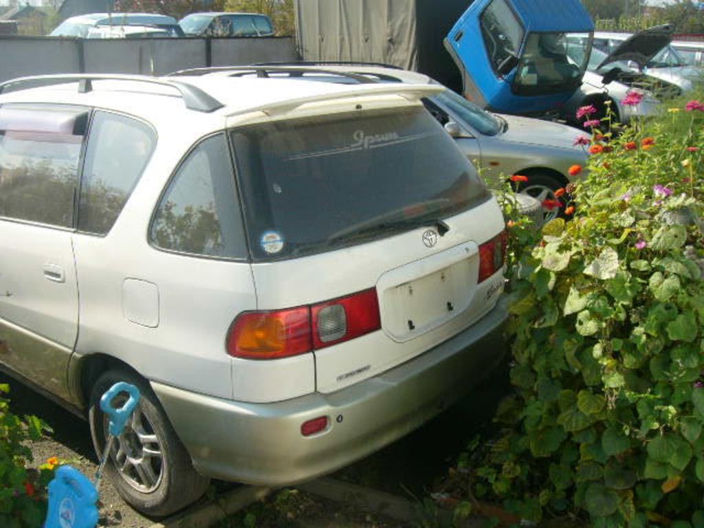 1997 Toyota Ipsum