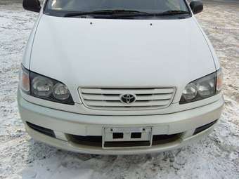 Toyota Ipsum