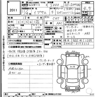 1999 Ipsum