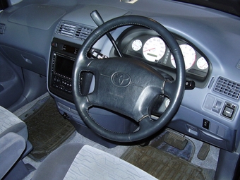 1999 Ipsum