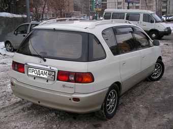 Toyota Ipsum