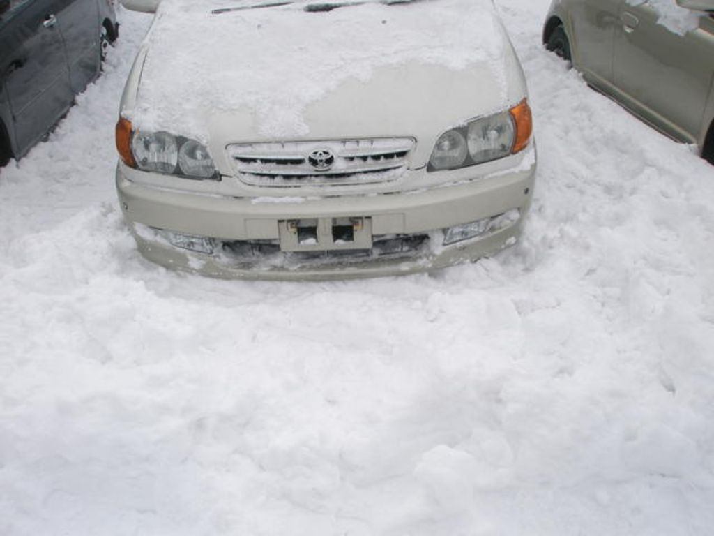 1999 Toyota Ipsum