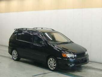 Toyota Ipsum