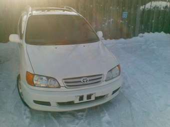 1999 Toyota Ipsum Pics