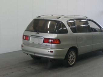 2000 Ipsum