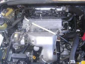 Toyota Ipsum