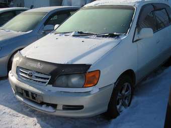 Toyota Ipsum