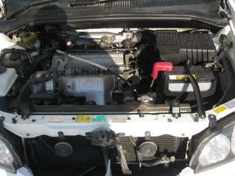 Toyota Ipsum