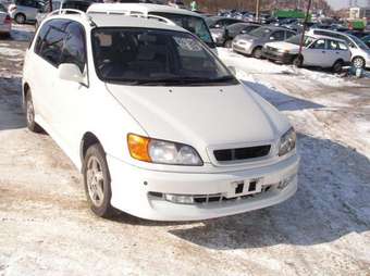 Toyota Ipsum