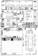 Preview 2000 Ipsum