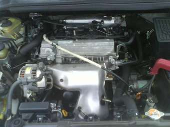 2000 Toyota Ipsum For Sale