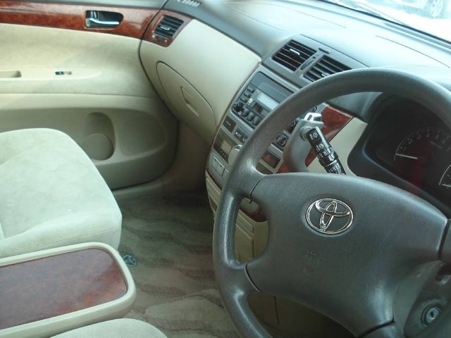 2001 Toyota Ipsum