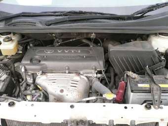Toyota Ipsum