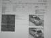 Preview 2002 Ipsum