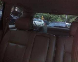 2002 Toyota Ipsum Pictures