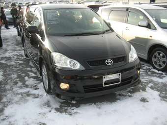 Toyota Ipsum