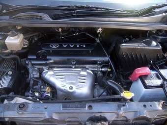 Toyota Ipsum
